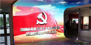 吉林省德惠市非公有制企業(yè)和社會組織黨建指導服務(wù)中心天幕地磚曲屏組合